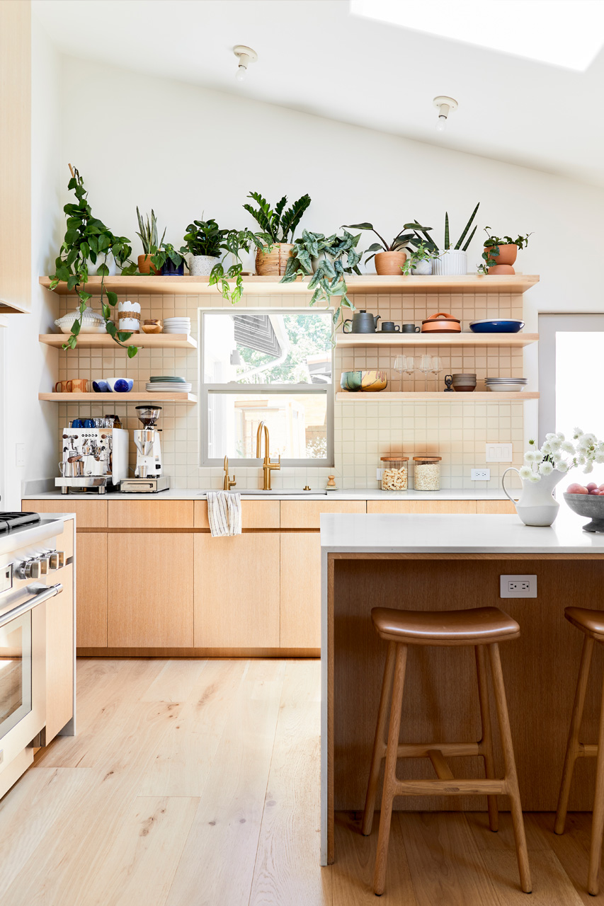 Influencer-barrett-prendergast-4139-Skylights-VCS-4656-Kitchen-0721-After